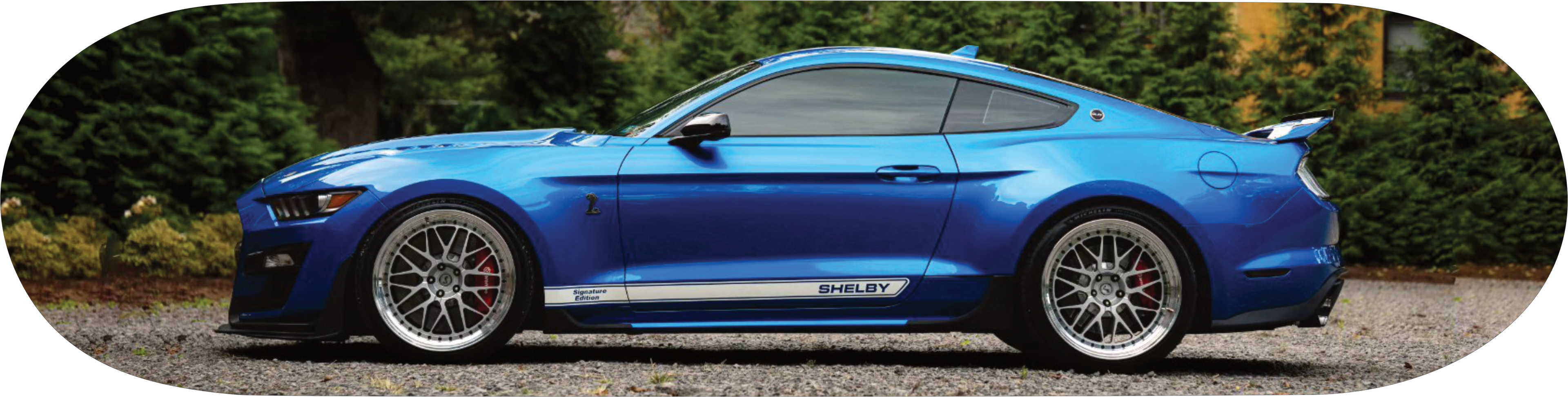 Shelby GT350  Mustang blue custom skateboard wall art